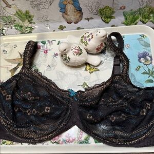 Fayreform Lace Women's underwire Bra in brown  & Blue - 38F